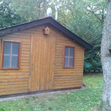 Chalet Imme Villa Resteigne Екстериор снимка